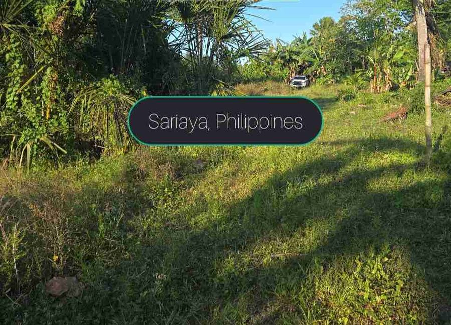 Bucal, Sariaya, 2nd District, Quezon image 2