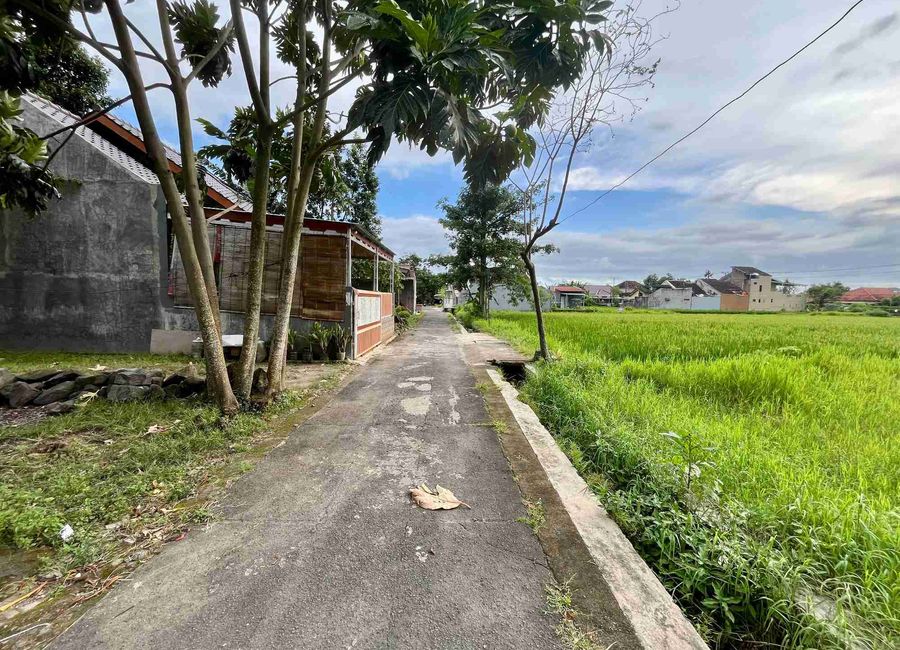 place photo 1