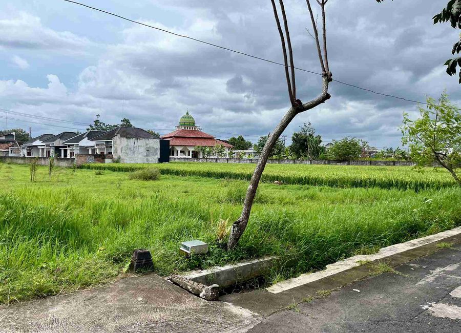 place photo 2