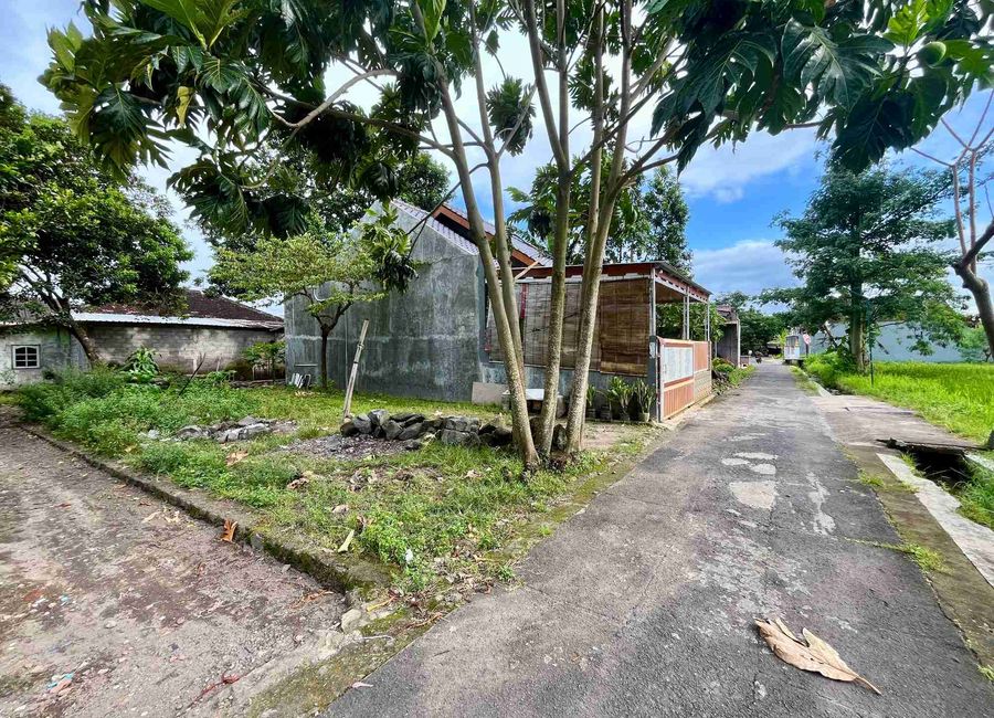 place photo 3