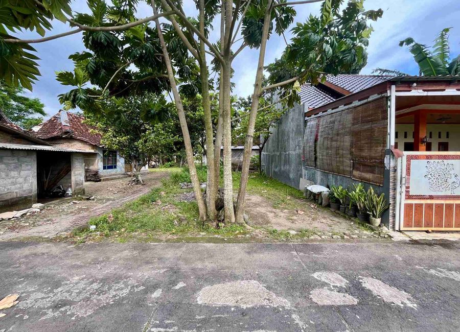 place photo 5