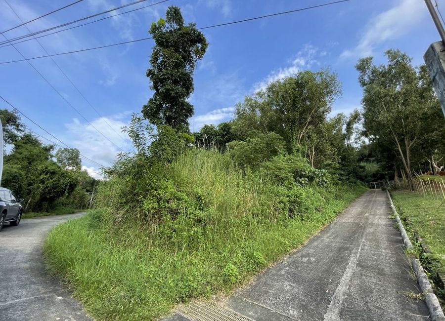 Timberland Avenue, Mandala South, Timberland Heights, San Mateo, Rizal