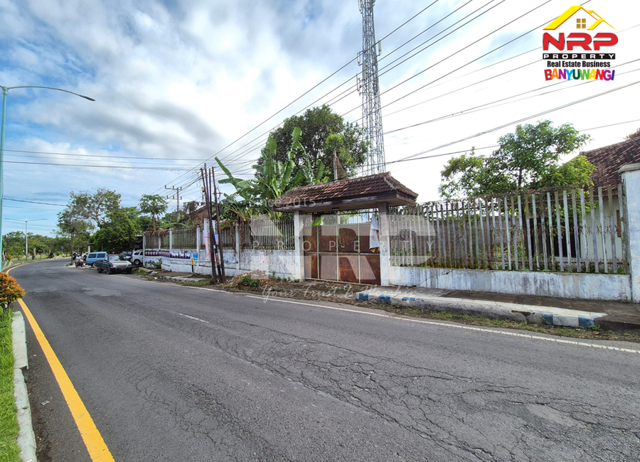 place photo 3