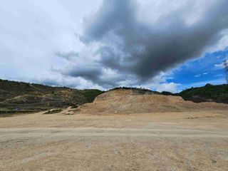 5 hectares industrial lot for sale naga cebu