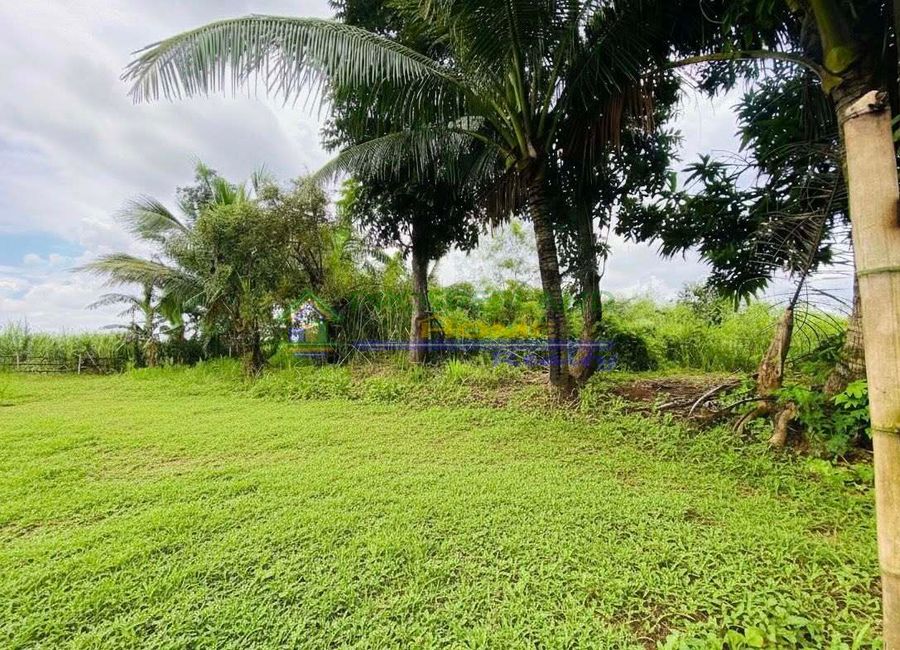 Lobrin Subdivision, Sico, Lipa, Batangas image 3