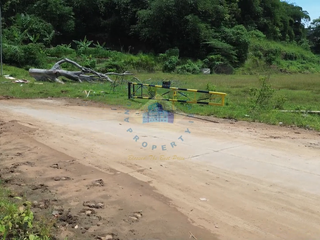 Tanah di Kawasan Industri Millennium Cikupa Tigaraksa, Tangerang