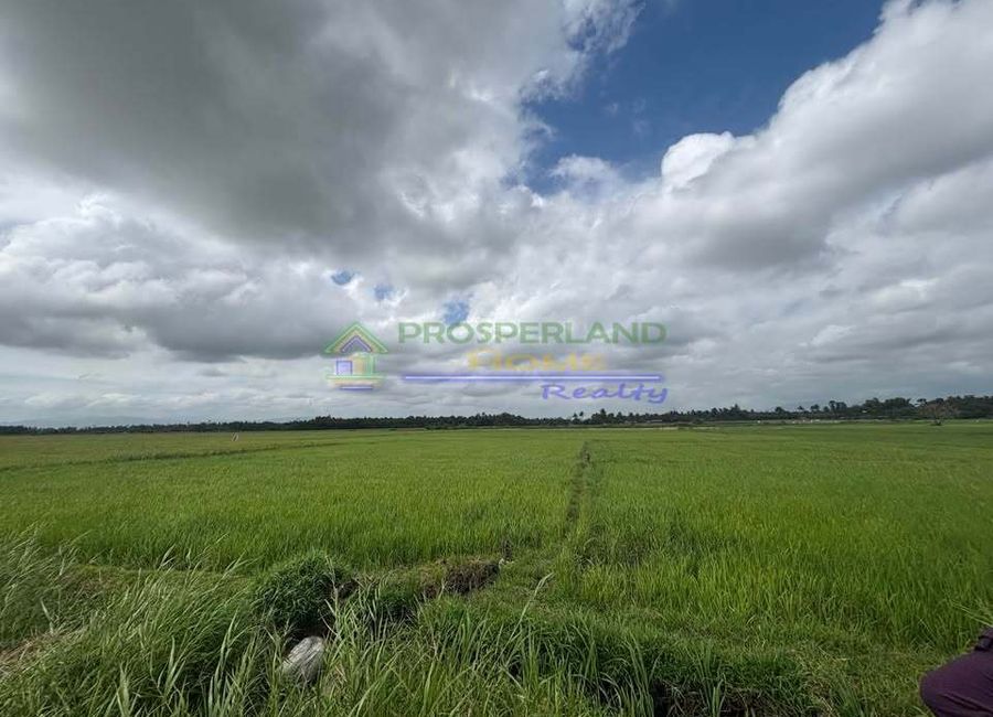 Mabini Street, Poblacion 3, Poblacion 6, Tumbaga 1, Sariaya, 2nd District, Quezon image 3