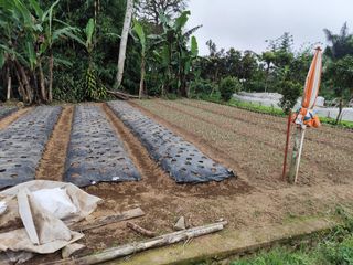 Tanah SHM ukuran kecil di Bedugul