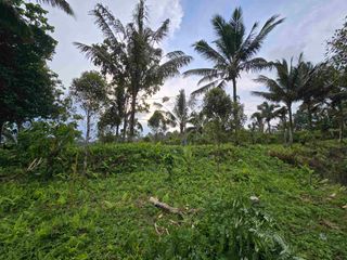 Dijual tanah kosong murah di tabanan bali