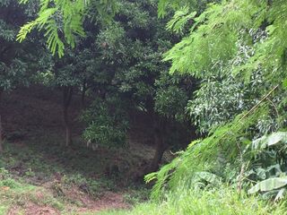 2.2 Hectares Lot in Bamban Tarlac