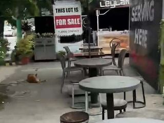 PRIME COMMERCIAL LOT FOR SALE – V. RAMA, CALAMBA, CEBU CITY