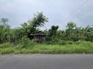 tanag di jual/di sewakan
