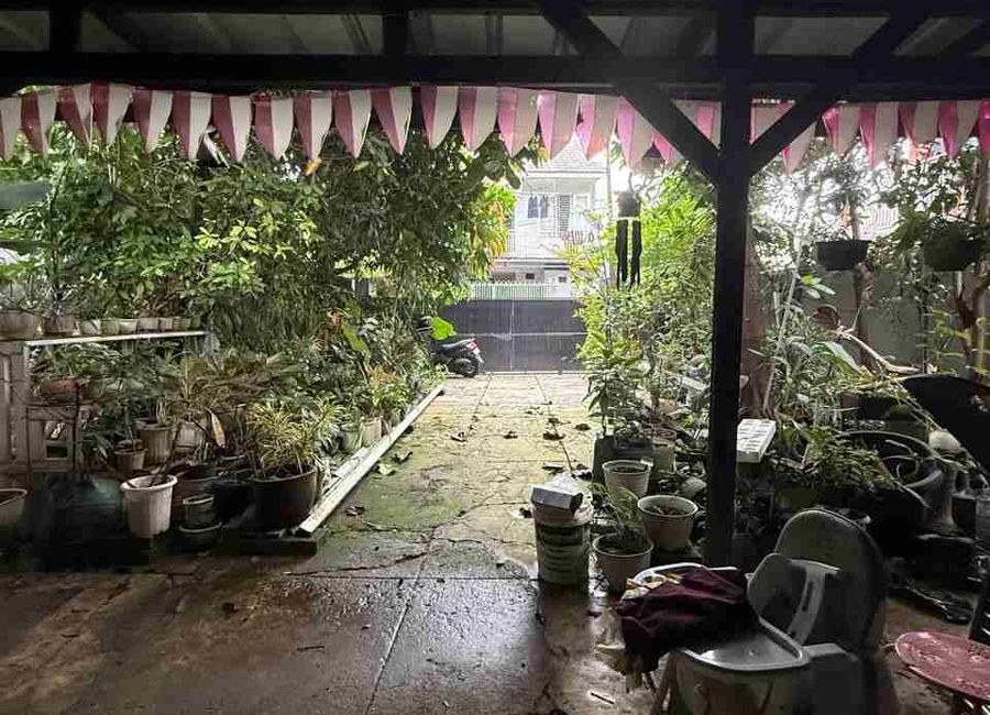 place photo 17