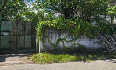 400sqm Prime Residential Lot in Molo, Iloilo City – Ideal for Apartment or Townhouse Project