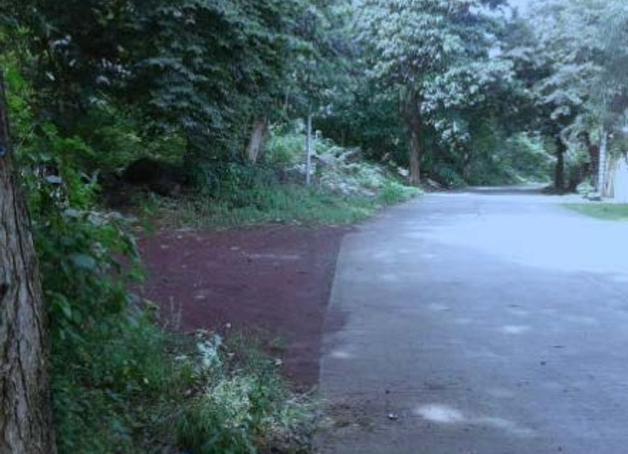 Jalandoni Street, Pansol, Calamba, Laguna image 3