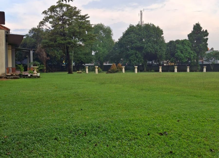 place photo 7
