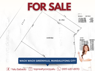 FOR SALE Prime Commercial Lot along EDSA–Shaw, Wackwack Greenhills, Mandaluyong City