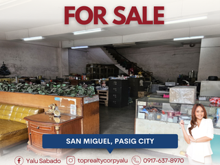 FOR SALE Warehouse Property along Mercedes Avenue, Pasig City