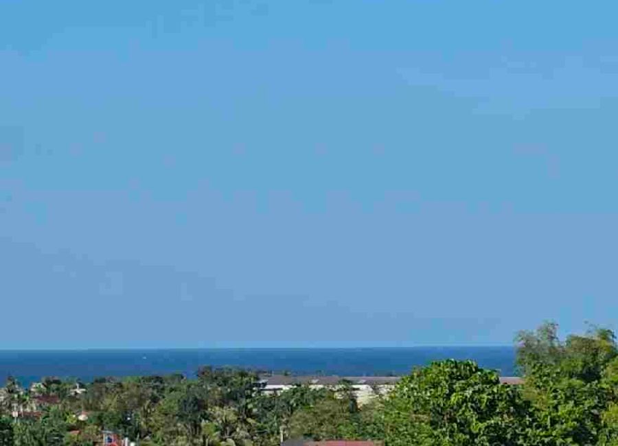 place photo 43