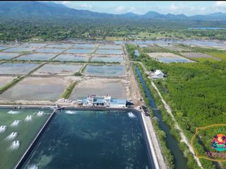 Tanah Dijual di Buleleng, Bali