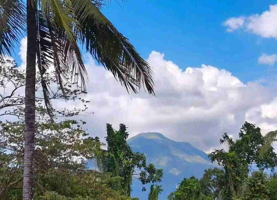 Santa Elena, San Pablo, Laguna image 2