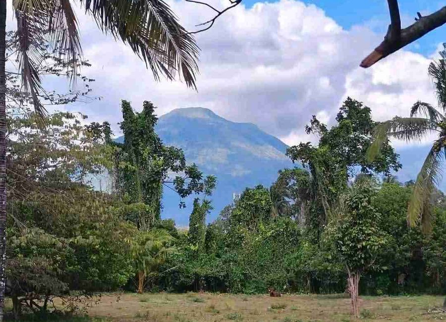 Santa Elena, San Pablo, Laguna image 3