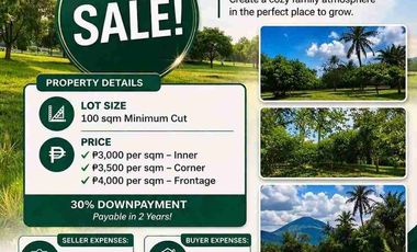 Residential Lot for Sale San Pablo Installment
