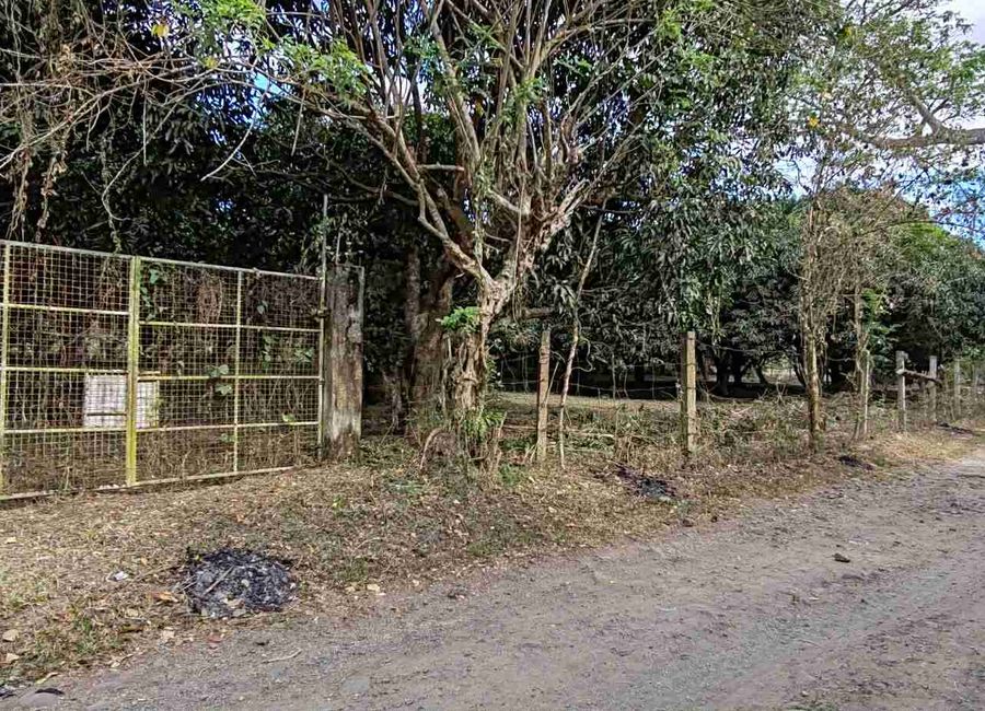 Lagalag, Tiaong, 2nd District, Quezon image 3