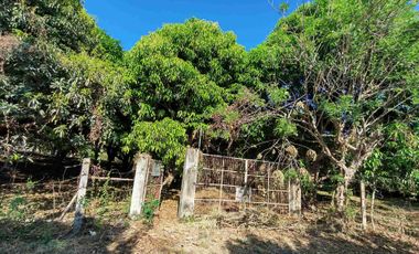 LOT FOR SALE IN TIAONG QUEZON