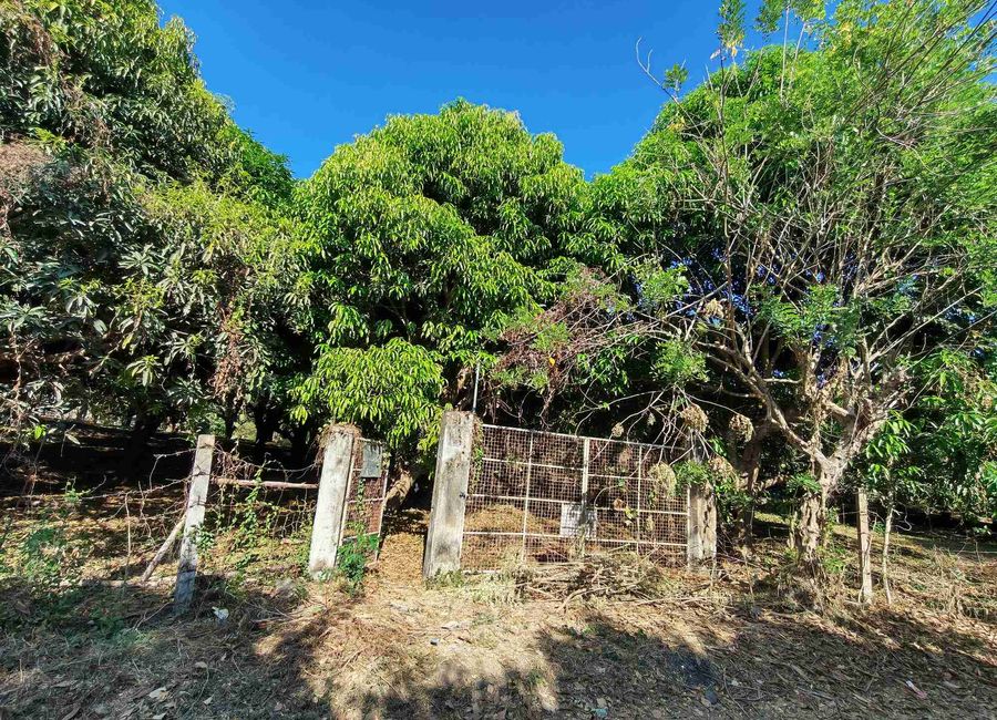 Lagalag, Tiaong, 2nd District, Quezon