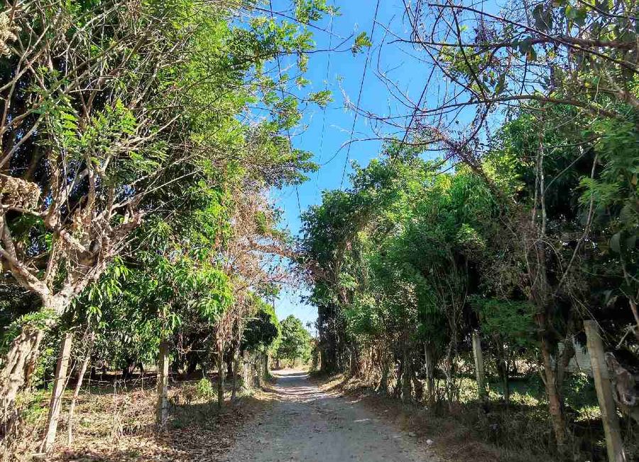Lagalag, Tiaong, 2nd District, Quezon image 2