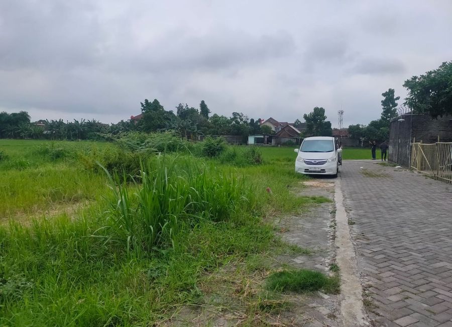 place photo 3