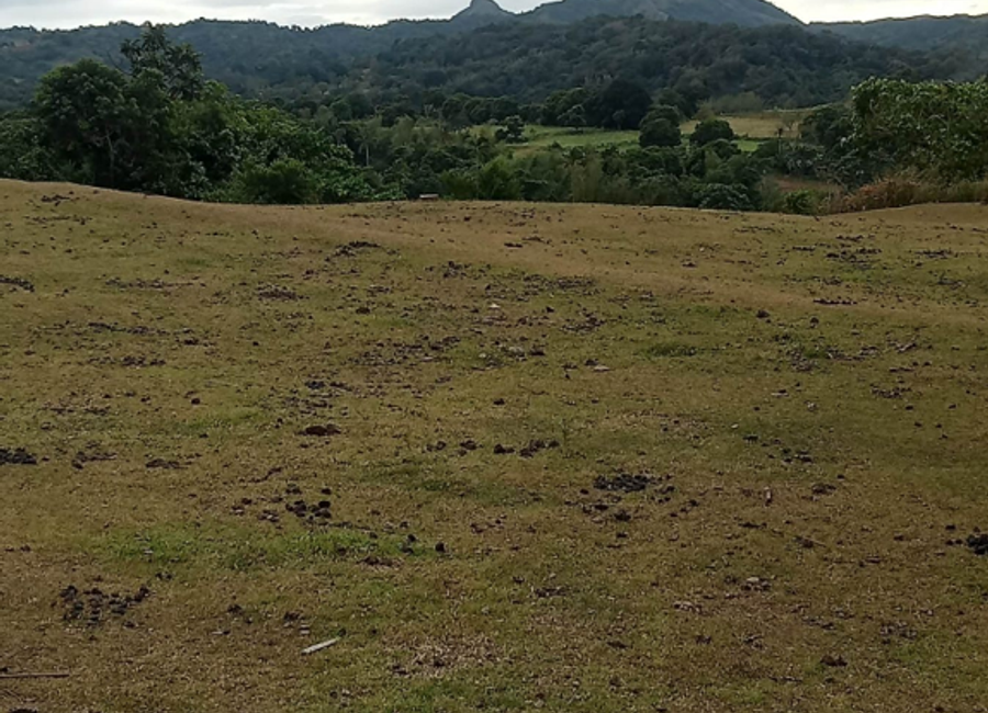 Tagaytay-Nasugbu Road, Phirst Park Homes Batulao, Kaylaway, Nasugbu, Batangas