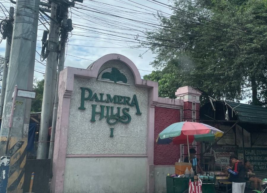 Date Palm Street, Palmera Hills 1, San Isidro, Taytay, Rizal
