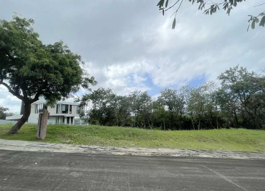 Spine Road, Ayala Greenfield Estates, Maunong, Calamba, Laguna