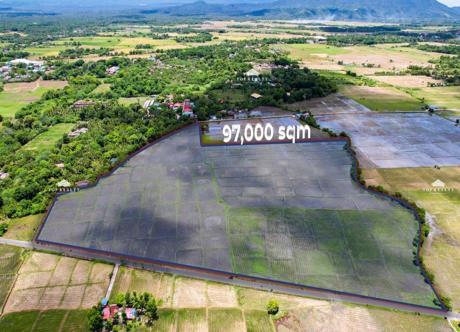 Victoria-Pila Road, Santa Clara Norte, Pila, Laguna