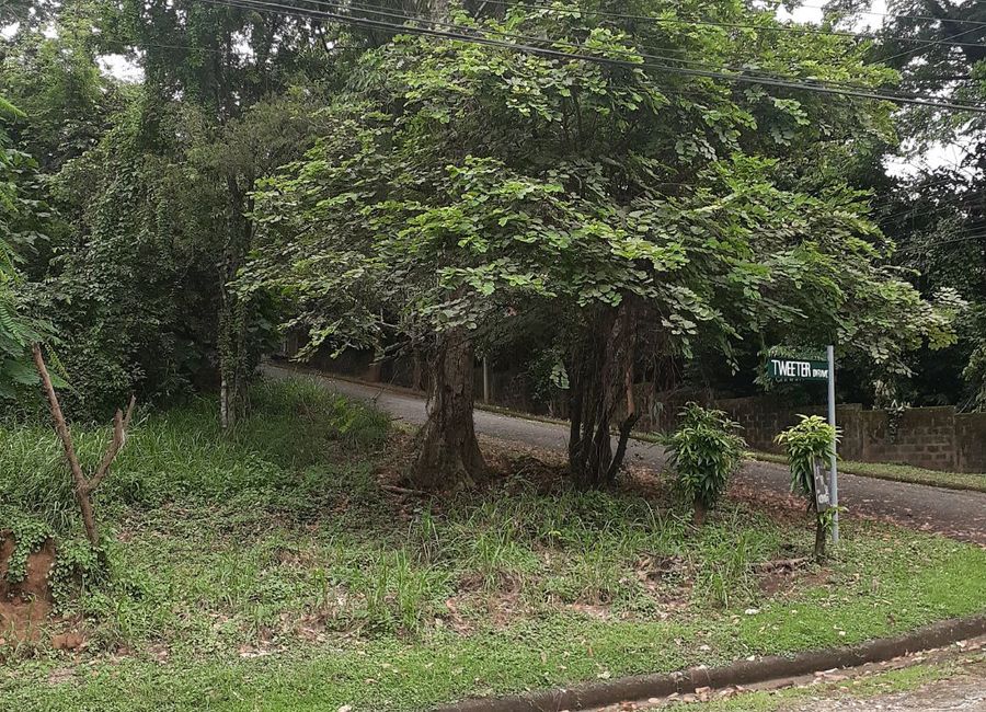 Santana Drive, Victoria Valley, Dela Paz, Antipolo, Rizal
