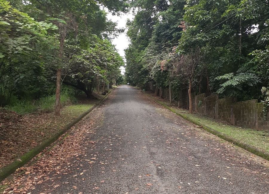 Santana Drive, Victoria Valley, Dela Paz, Antipolo, Rizal image 2