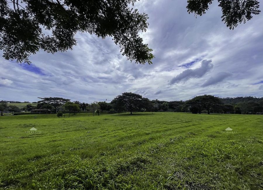 Nuvali Boulevard, Canlubang, Calamba, Laguna