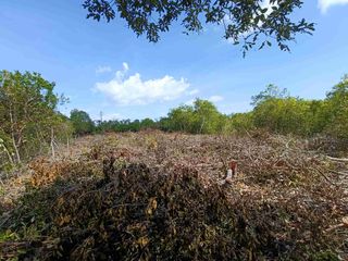 1632sqm clean title lot in Tawala Panglao Bohol 1800 per sqm