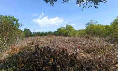 1632sqm clean title lot in Tawala Panglao Bohol 1800 per sqm
