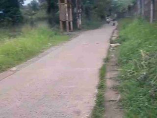tanah kosong