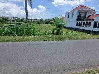 Edisi Tanah Strategis Pinggir Jalan Pendowoharjao Sewon Bantul - Ls