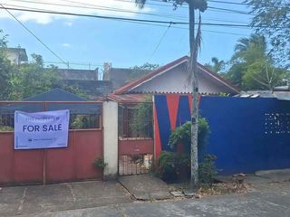 Property for Sale in Naga City | backing Magsaysay Ave | 260 sqm Lot