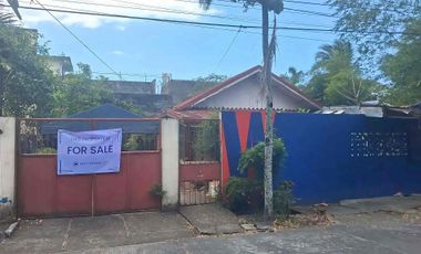 Property for Sale in Naga City | backing Magsaysay Ave | 260 sqm Lot