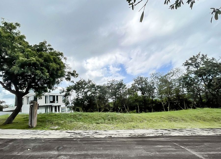 Spine Road, Ayala Greenfield Estates, Maunong, Calamba, Laguna image 2