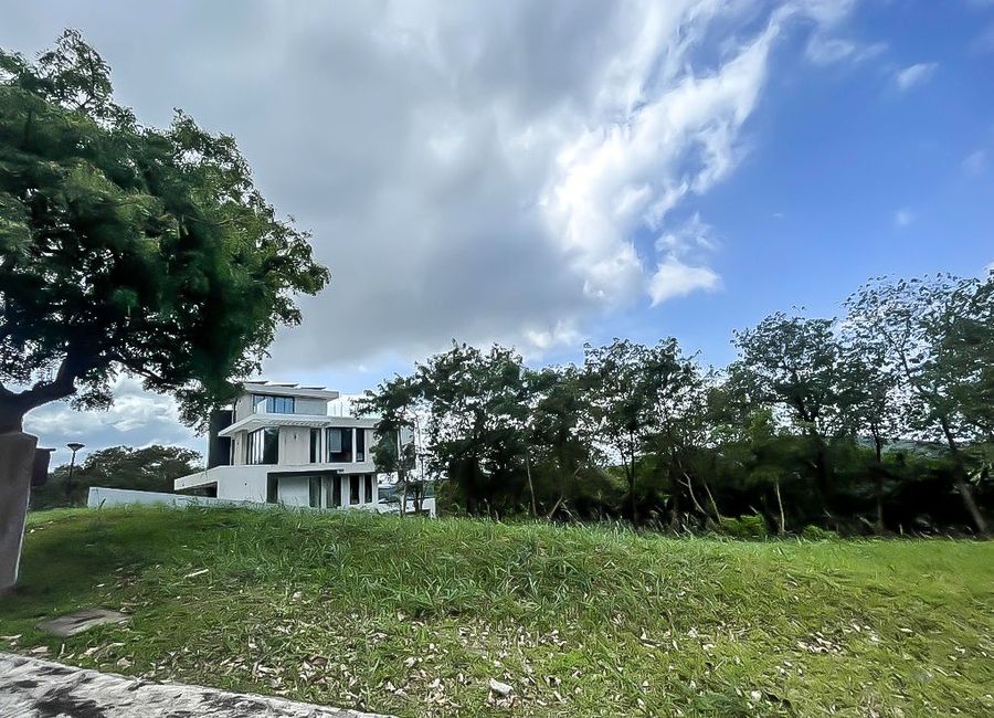 Spine Road, Ayala Greenfield Estates, Maunong, Calamba, Laguna image 3