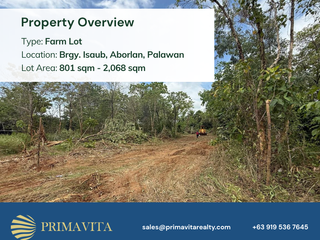 Farm Lot for Sale in Aborlan, Palawan