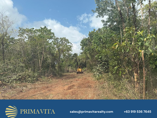 Farm Lot for Sale in Aborlan, Palawan