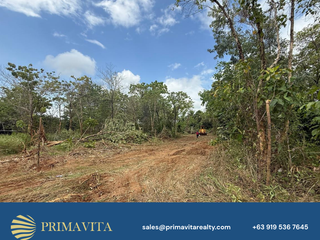 Farm Lot for Sale in Aborlan, Palawan